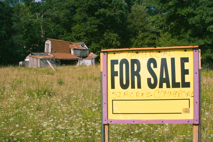 buying-a-homestead
